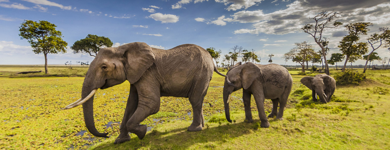 3-Days-Amboseli-Safari-Banner