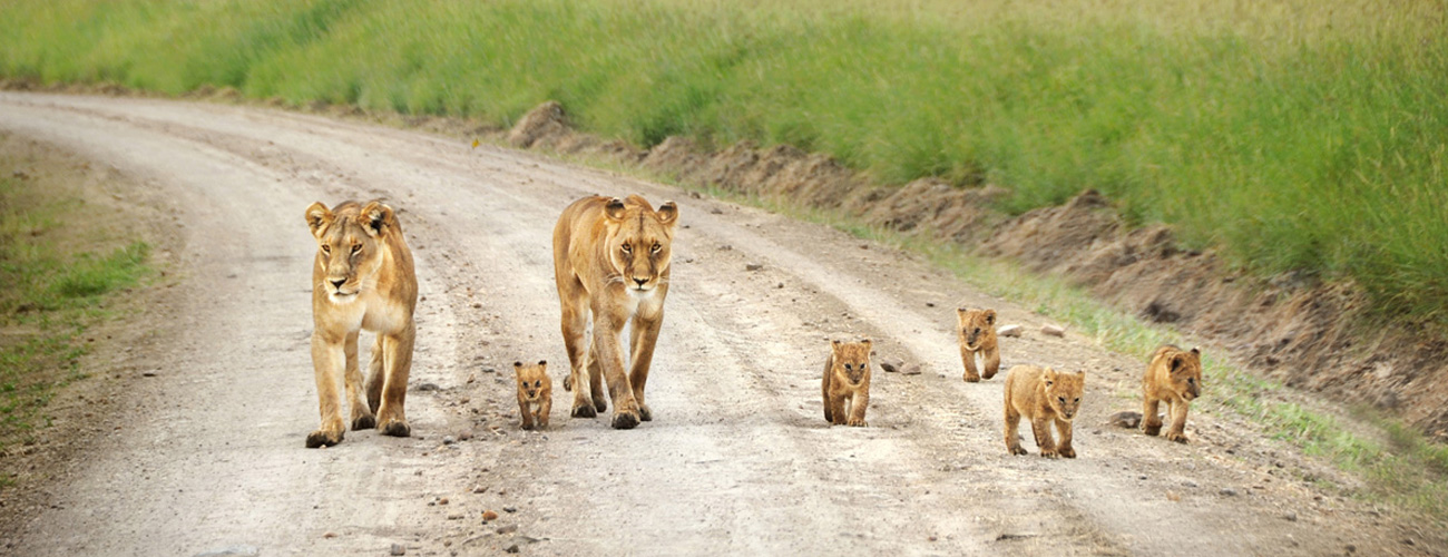 4-Days-Classic-Nakuru-Mara-Safari-Banner